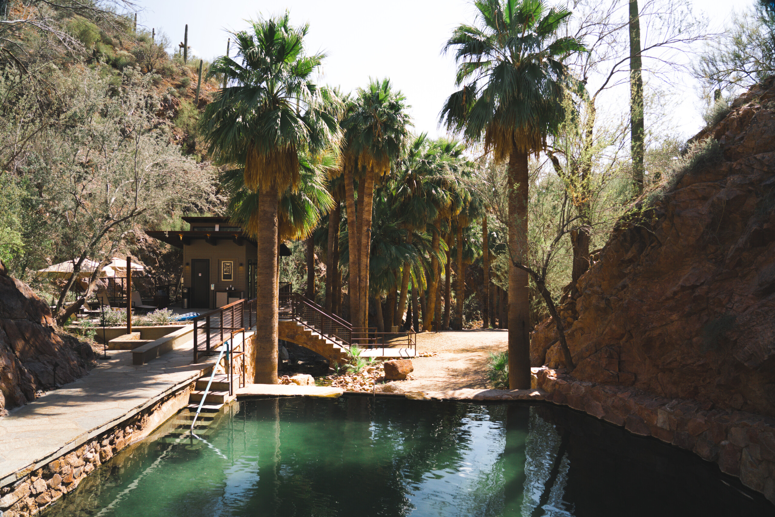 The Colorado Wellness Retreat