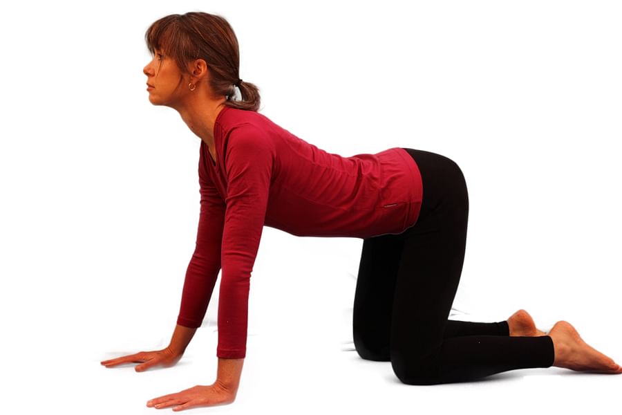 Cat-Cow Stretch Yoga