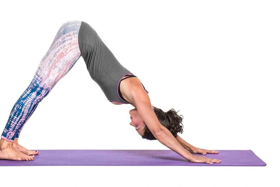 Downward-Facing Dog Pose